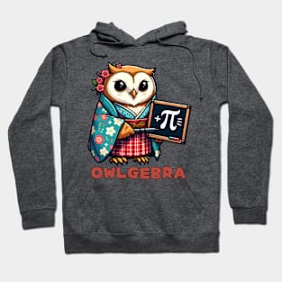 Pi day owl Hoodie